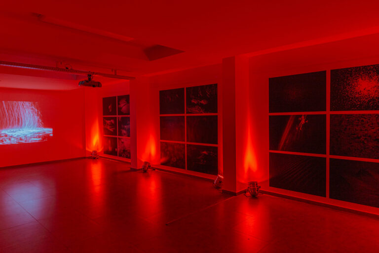 Nicolas Hermann Laniakea Exposition