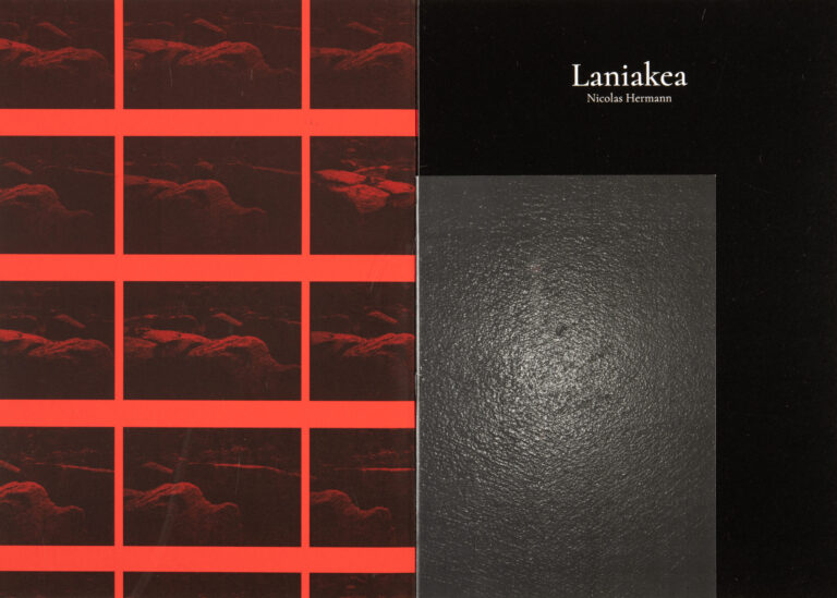 Nicolas Hermann Laniakea Livre