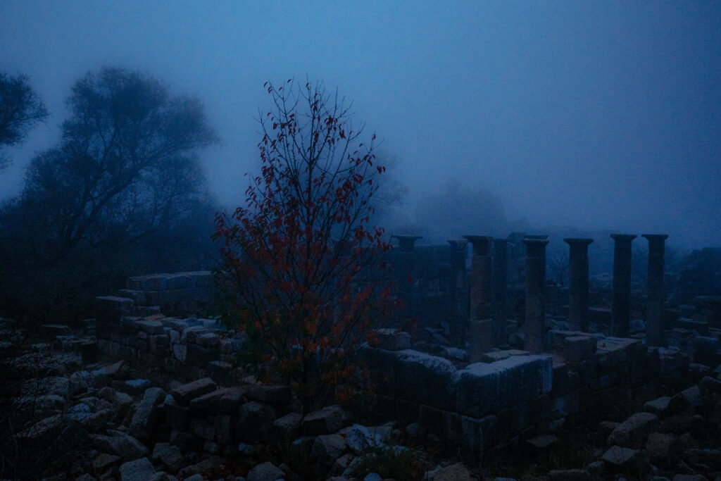 Nicolas Hermann Laniakea Series 16