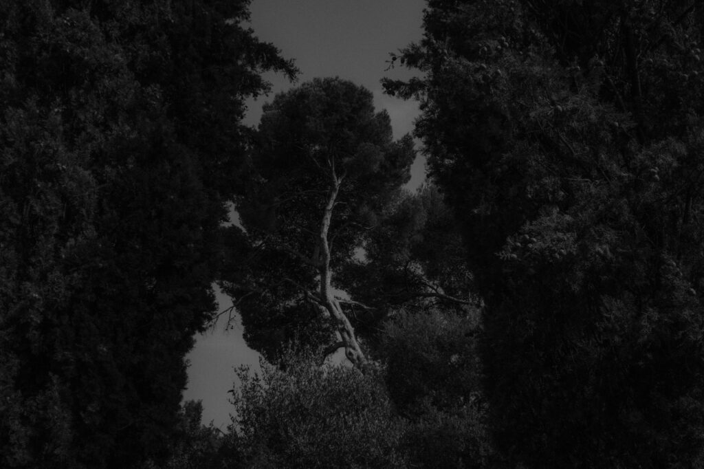 Nicolas Hermann Laniakea Series 18