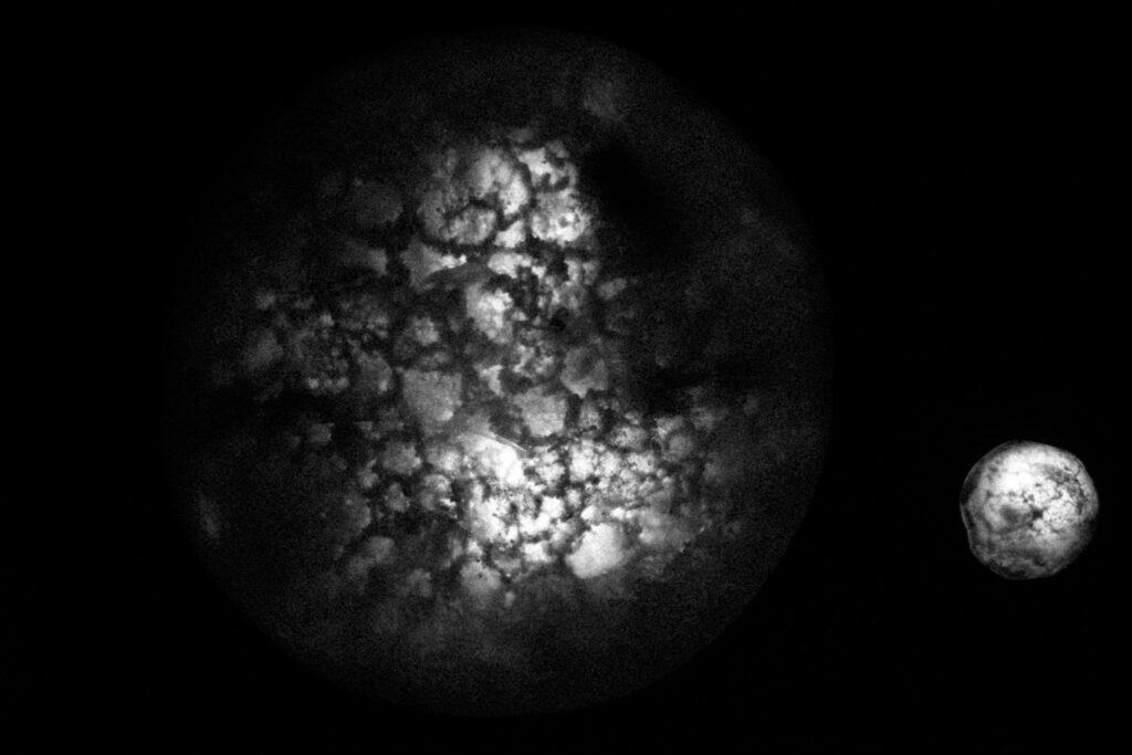 Nicolas Hermann Laniakea Series 19