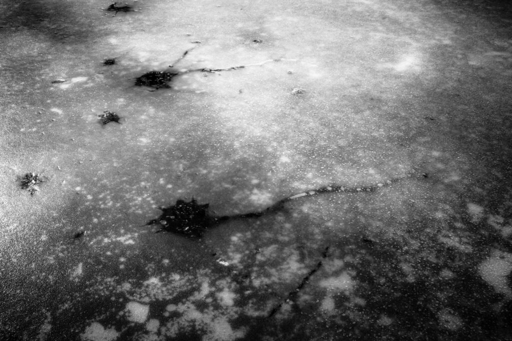 Nicolas Hermann Laniakea Series 8