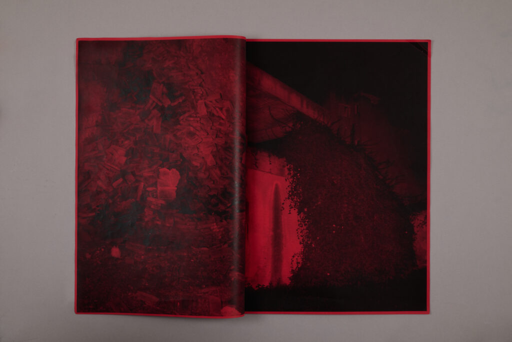 Nicolas Hermann Look Out Dummy