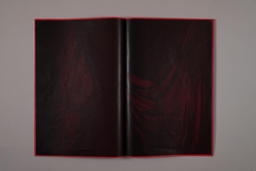 Nicolas Hermann Look Out Dummy