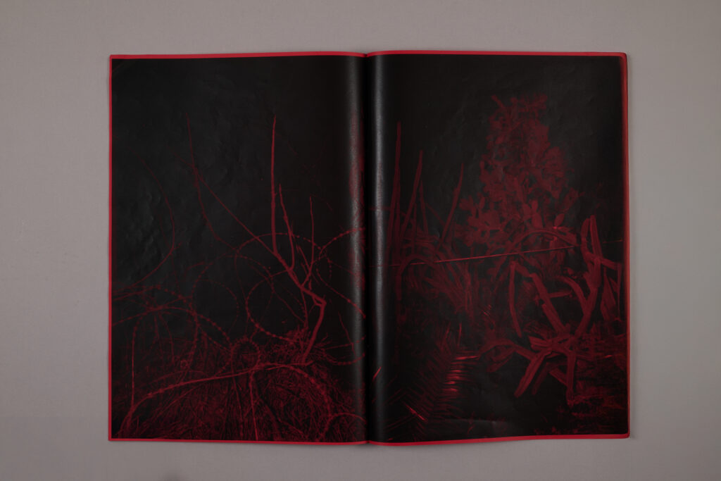 Nicolas Hermann Look Out Dummy