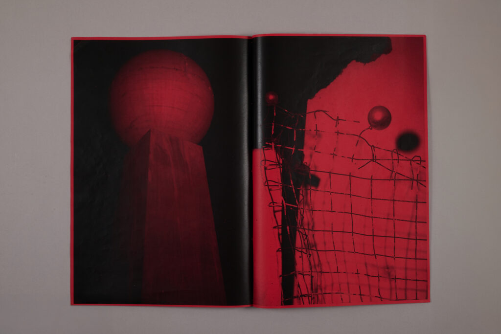 Nicolas Hermann Look Out Dummy