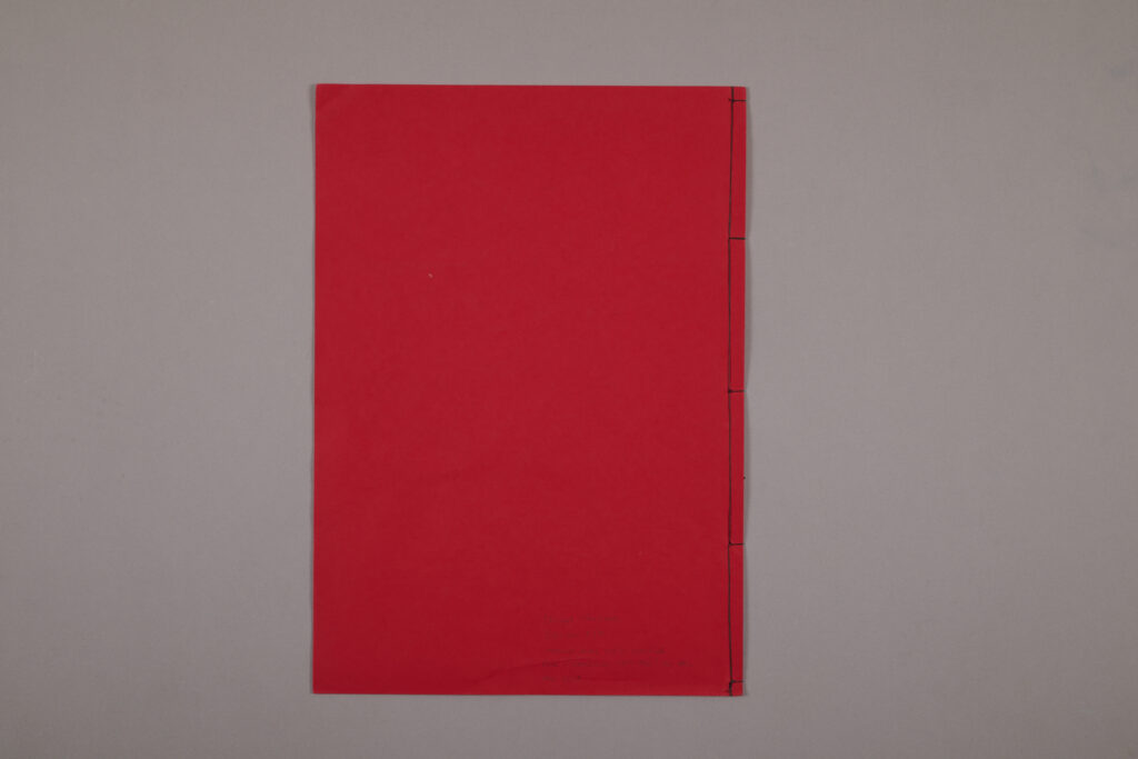 Nicolas Hermann Look Out Dummy